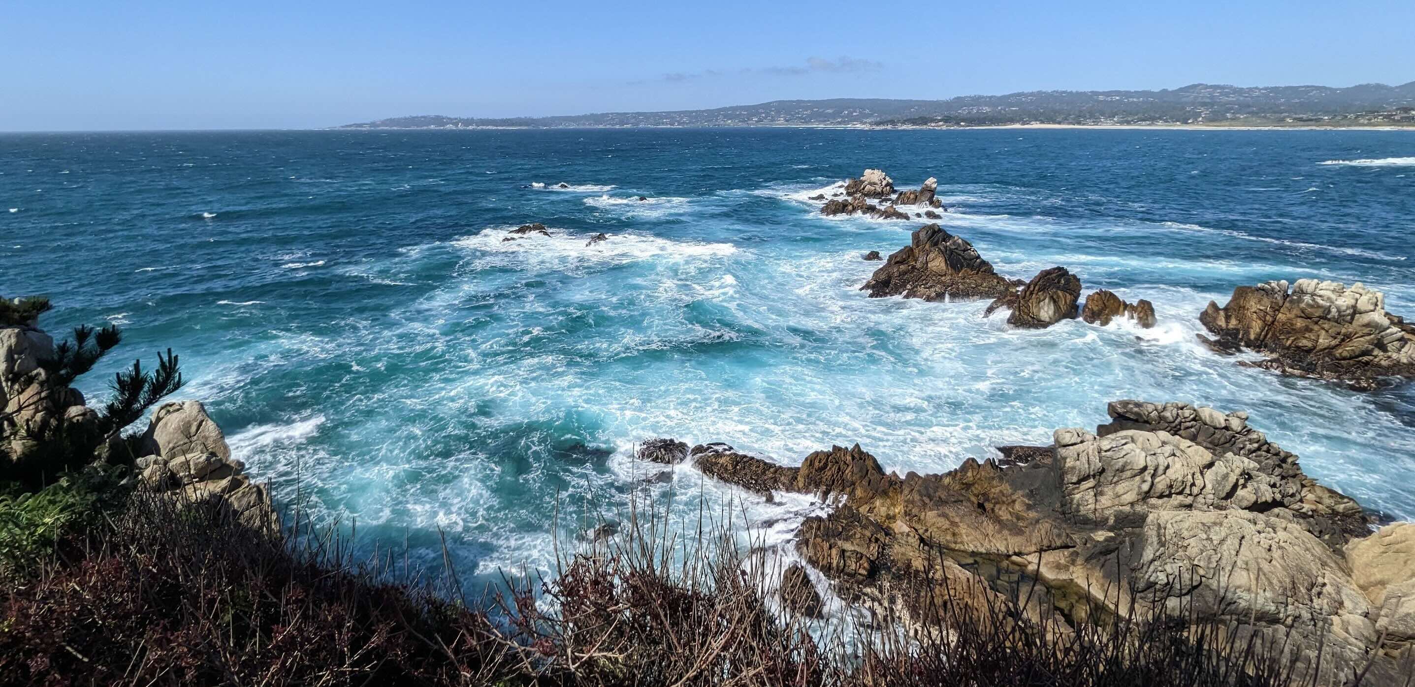 Point Lobos, 2023